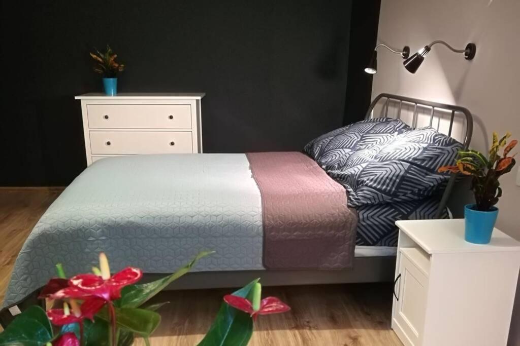 Sophus RespitE. samo centrum Krakowa Zewnętrze zdjęcie